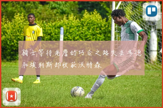 骑士等待老詹的巧合之路失去韦德和埃利斯却收获沃特森